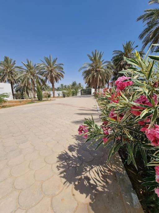 Villa Dar Jamila - Au Coeur De L'Oasis - à Gabès Extérieur photo